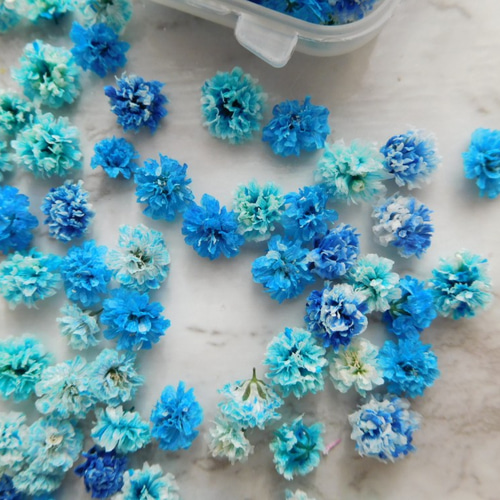 ☆ 青系かすみ草 ドライフラワー ☆ その他素材 ababko 通販 6307115