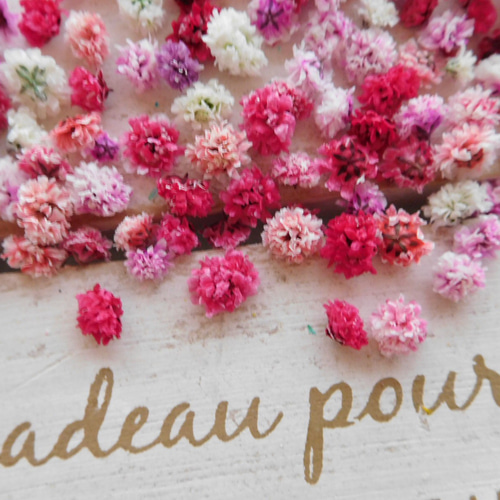 三色かすみ草ドライフラワー その他素材 ababko 通販 7280811｜Creema  