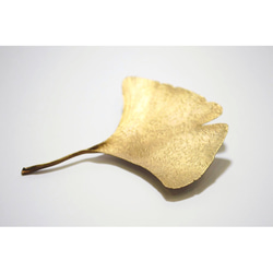 leaf brooch 【イチョウ】 1枚目の画像