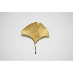 leaf brooch 【イチョウ】 7枚目の画像