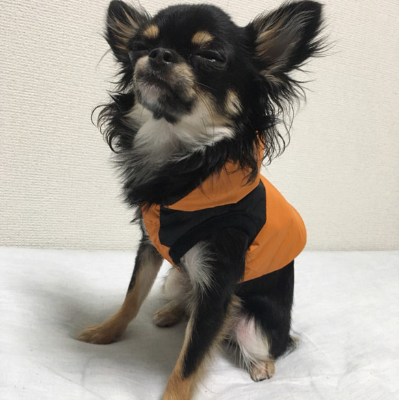最新入荷 フード付きダウンジャケット Mサイズ オレンジ/ブラック(橙/黒 犬服・アクセサリー