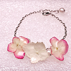 白色和粉紅邊繡球花真花手鏈/奧地利珍珠 第1張的照片