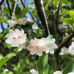 樱花真花頸鏈，Sakura真花銀色頸鏈，禮物 第4張的照片