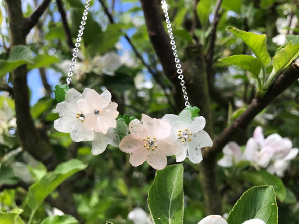 樱花真花頸鏈，Sakura真花銀色頸鏈，禮物 第4張的照片