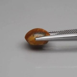 天然石 オパール キャッツアイ 3.27ct ルース 非加熱 アフリカ産　綺麗なキャッツアイの動き！ 10枚目の画像