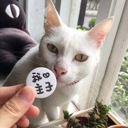 貓奴系列 (五入) - 馬口鐵貓語徽章 (小)  Cat lover Tinplace badge 第8張的照片