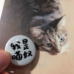 我是貓奴 萬萬歲 馬口鐵徽章 (小) Cat lover Tinplace badge 第7張的照片