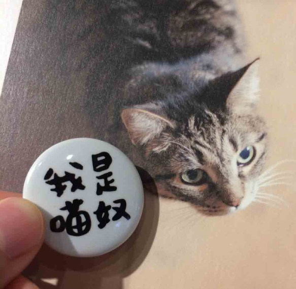 我是貓奴 萬萬歲 馬口鐵徽章 (小) Cat lover Tinplace badge 第7張的照片