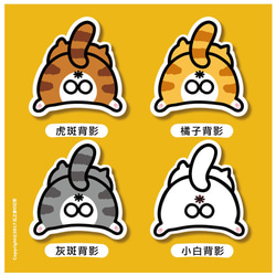 貓咪屁屁探頭系列 防水貼紙 Waterproof stickers 第3張的照片