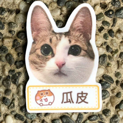 客製化 防水姓名貼紙 一款120張 ( 寵物貓狗 / 人像 ) stickers 第7張的照片