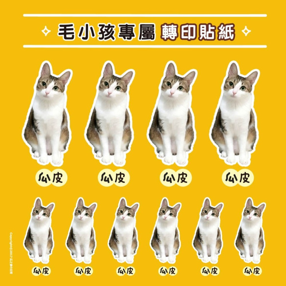 カスタマイズされたペットの猫と犬/肖像画の熱伝達ステッカー（DIY素材パッケージ） 1枚目の画像