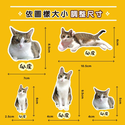 カスタマイズされたペットの猫と犬/肖像画の熱伝達ステッカー（DIY素材パッケージ） 8枚目の画像