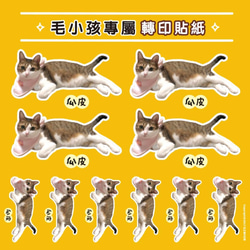 カスタマイズされたペットの猫と犬/肖像画の熱伝達ステッカー（DIY素材パッケージ） 9枚目の画像