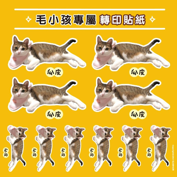 客製化 寵物貓狗 / 人像 熱轉印貼紙 (DIY材料包) transferable 第9張的照片