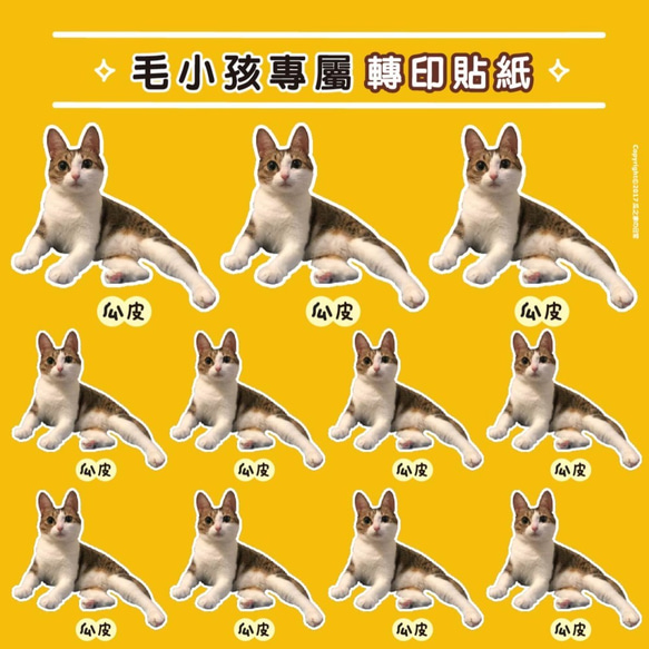 客製化 寵物貓狗 / 人像 熱轉印貼紙 (DIY材料包) transferable 第10張的照片