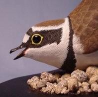 人気「ゴジュウカラ」 木彫りの野鳥 バードカービング 野鳥彫刻