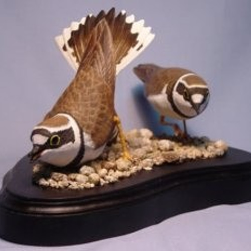 コチドリ バードカービング 木製 手彫り 雑多 鳥 野鳥 木工品 彫刻