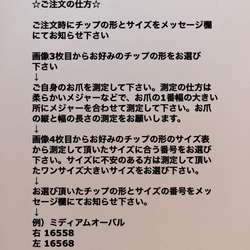 No.6 ネイルチップ/スワロフスキーネイル/vカットストーン/大人可愛いネイル 2枚目の画像