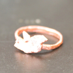 春の小鳥 copper ring... +"sapphire" present 1枚目の画像