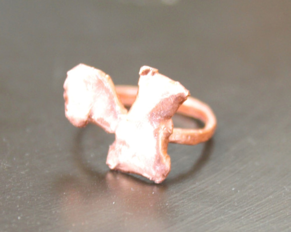 spring copper ring ”リス” +"sapphire" present 2枚目の画像