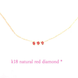 Petit Natural red Diamond -necklace- ☆ 1枚目の画像