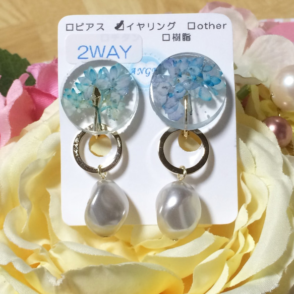 2WAYイヤリング★本物のお花　ブルー 1枚目の画像