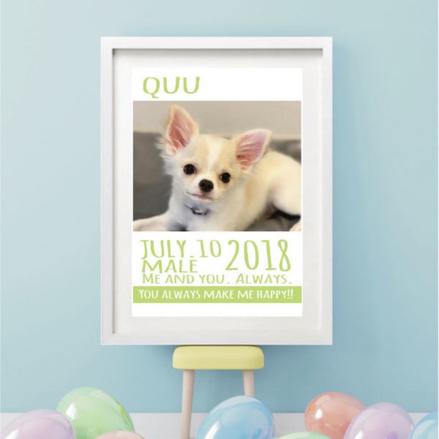 海外雑誌の表紙のようなお名前写真入りDOGポスターmint（A4）
