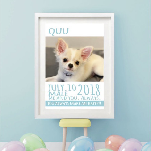 海外雑誌の表紙のようなお名前写真入りDOGポスターblue（A4）