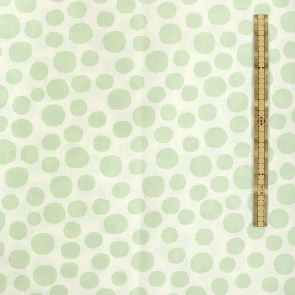 Shinzi Katoh　シャーティング生地[Bird_グリーン] 4枚目の画像