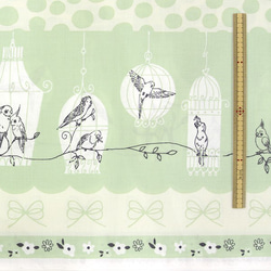 Shinzi Katoh　シャーティング生地[Bird_グリーン] 5枚目の画像