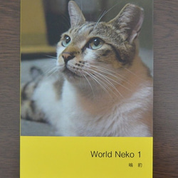 猫 写真集 文庫サイズ World Neko 1 1枚目の画像