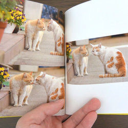 猫 写真集 文庫サイズ World Neko 1 2枚目の画像