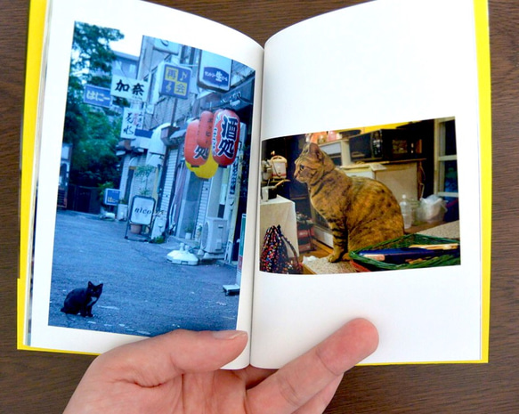 猫 写真集 文庫サイズ World Neko 1 3枚目の画像