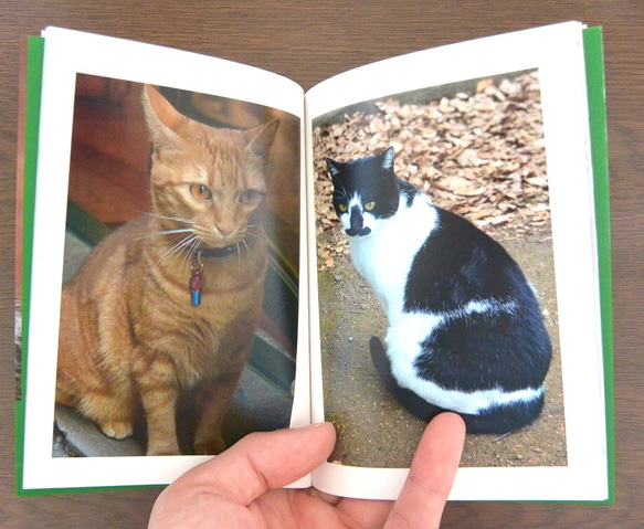 猫 写真集 文庫サイズ World Neko 3 2枚目の画像
