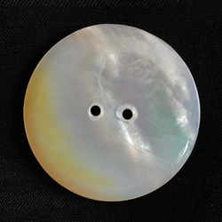 アンティーク シェルボタン 貝ボタン ローズウィンドー A　 3枚目の画像