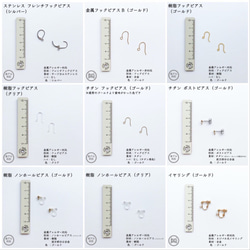  第10張的照片