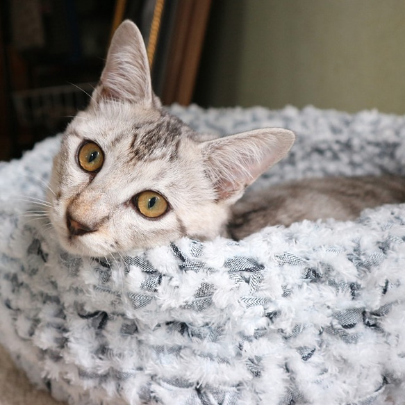 【受注生産】猫ベッド デニムの耳　グレー 1枚目の画像