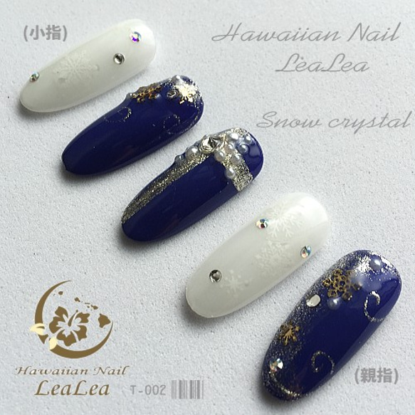 雪の結晶ネイル 手書きアート Snow crystal（T-002 雪の結晶 スノー
