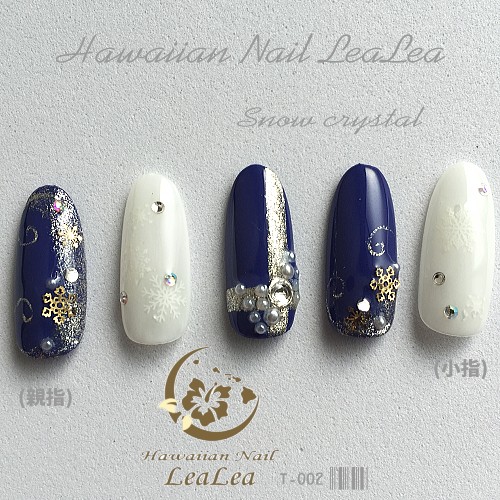 雪の結晶ネイル 手書きアート Snow crystal（T-002 雪の結晶 スノー