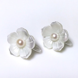 Cape jasmine シェルフラワーイヤリング/ピアス 1枚目の画像