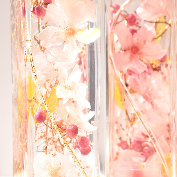 本物のさくら【桜ハーバリウム】『MIYABI-雅-』花宴（はなのえん）- 薄紅 　＊メッセージカード無料 10枚目の画像