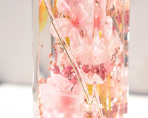 本物のさくら【桜ハーバリウム】『MIYABI-雅-』花宴（はなのえん