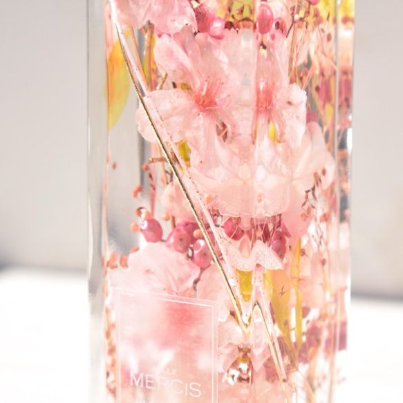 flower様 オ―ダ―窓口 ハ―バリウム ＊桜＊ 本物のさくら【桜ハーバリウム】『MIYABI-雅-』花宴（はなのえん