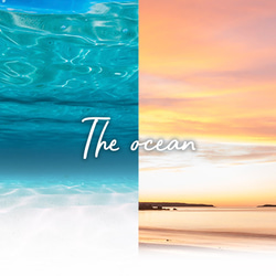 【ハーバリウム】『THE OCEAN』マリンブルー ＊メッセージカード無料 8枚目の画像