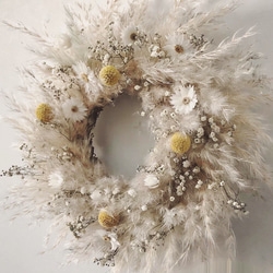 fluffy wreath "honey"﻿　ふわふわリース パンパスグラス 1枚目の画像