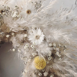 fluffy wreath "honey"﻿　ふわふわリース パンパスグラス 3枚目の画像
