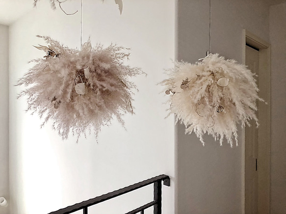 パンパスグラス フライングリースセット flying wreath 