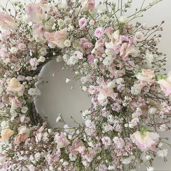 flower wreath " spring march " かすみ草とスイートピーのリース 2枚目の画像