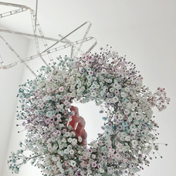 flower wreath  " MEL "  かすみ草 フレッシュ ドライフラワー リース 1枚目の画像