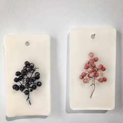 pepperberry tree ⁑ 2個set 3枚目の画像